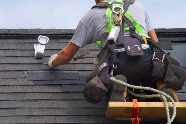 Best Roof Gutter Cleaning  in Venice, IL